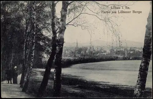 Ansichtskarte Löbau Panorama-Ansicht Partie am Löbauer Berge 1919