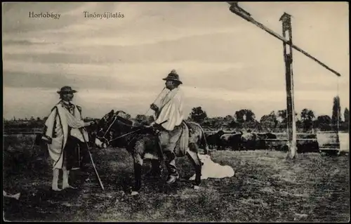 Hortobagy Hortobágy Tinónyájitatás, Typen Esel Gehöft Magyar Ungarn 1927