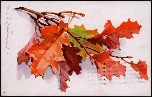 Ansichtskarte  Botanik Naturfarben Blätter im Herbst 1928