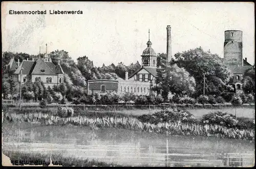 Ansichtskarte Bad Liebenwerda Restaurant, Villa, Lubwardturm 1922