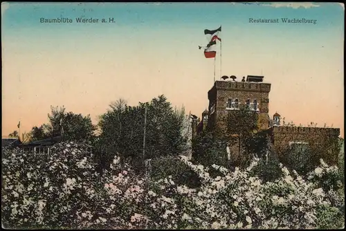 Werder (Havel) Panorama zur Baumblüte mit Restaurant Wachtelburg 1909