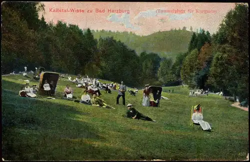 Ansichtskarte Bad Harzburg Kaltetal-Wiese Tummelplatz für Kurgäste 1911