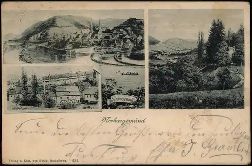 Ansichtskarte Neckargemünd Mehrbild: Stadtansicjhten 1906