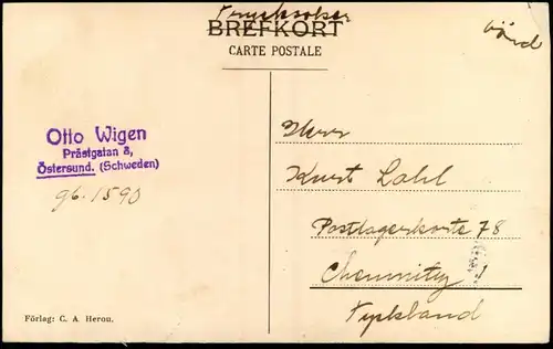 .Schweden Sverige TORGPLATSEN MED BOSTÄDERNA, HAGEN. HORNDAL. 1911
