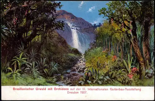 Dresden Brasilianischer Urwald mit Orchideen  III.  Gartenbau-Ausstellung 1907
