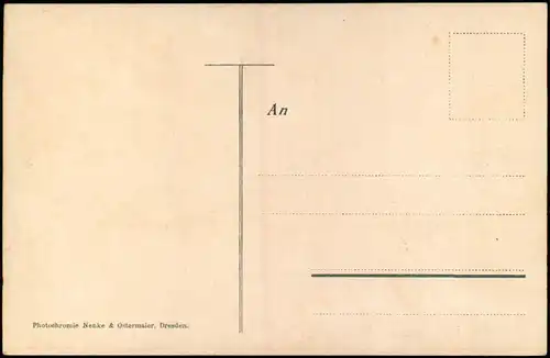 Dresden Brasilianischer Urwald mit Orchideen  III.  Gartenbau-Ausstellung 1907