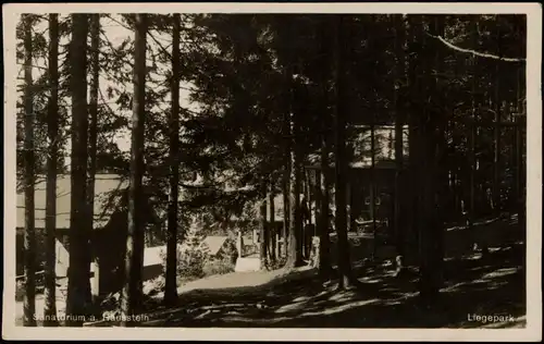 Ansichtskarte Deggendorf Liegepark Sanatorium am Hausstein 19342