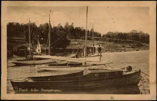 .Schweden Sverige Parti från Hargshamn (Schweden, Sverige) 1910