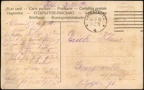 Ansichtskarte Chemnitz Partie am Siegesdenkmal 1918 Luna 1. Weltkrieg Feldpost