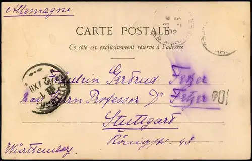 Nizza Nice Pferd mit Hut an der Cote D Azur 1902   STUTTGART (Ankunftsstempel)