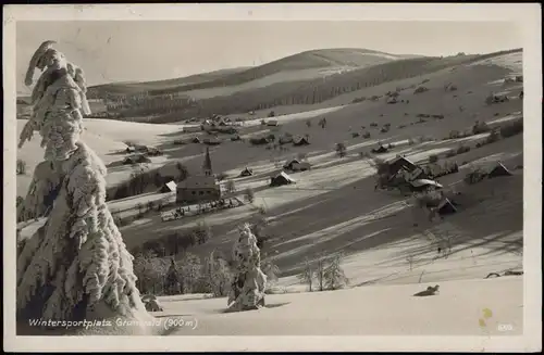 Grunwald-Bad Reinerz Zieleniec Duszniki-Zdrój Stadt im Winter 1930