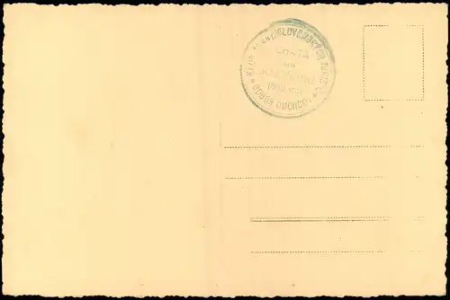 Postcard Dux Duchcov Buchen am Stürmer 1932