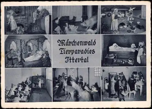 Ansichtskarte Solingen Weck-Ittertal Mehrbild, Märchenwald 1952