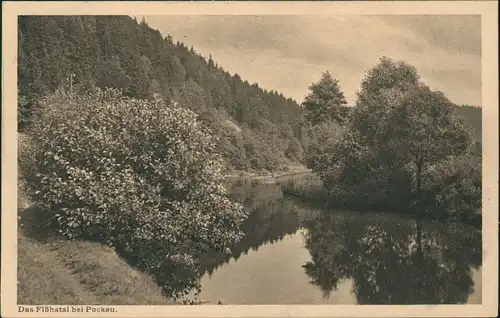 Ansichtskarte Pockau (Erzgebirge) Das Flöhatal 1928