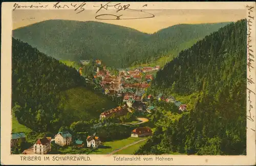 Triberg im Schwarzwald Panorama-Ansicht TRIBERG IM SCHWARZWALD. 1925