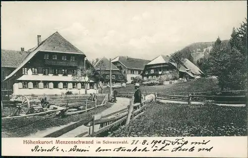 Ansichtskarte Menzenschwand-St. Blasien Ortsansicht, Bauernhäuser 1905