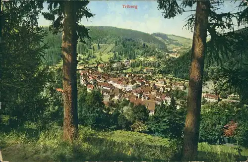 Ansichtskarte Triberg im Schwarzwald Panorama-Ansicht, Totalansicht 1910