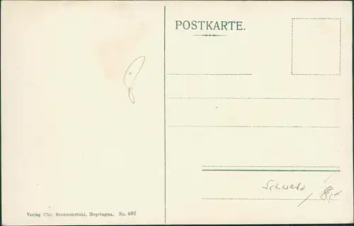 Ansichtskarte Meiringen Totalansicht 1911