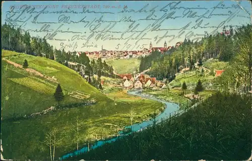 Ansichtskarte Freudenstadt Panorama-Ansicht mit Umland 1915