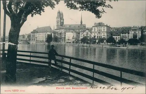 Ansichtskarte Zürich Stadtteilansicht, Blick vom Bauschänzli 1905