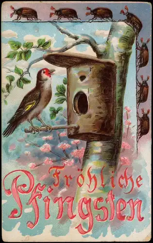 Ansichtskarte  Glückwunsch: Pfingsten Vogel Vogelhaus Pfingstkäfer 1906