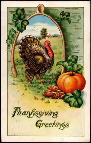 Thanksgiving / Erntedankfest Turkey Truthahn Kürbis 1906 Goldrand/Prägekarte