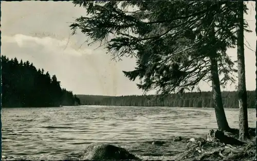 Ansichtskarte Sankt Andreasberg-Braunlage Oderteich - Fotokarte 1956