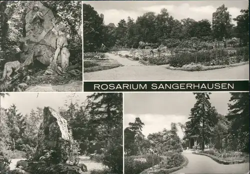 Ansichtskarte Sangerhausen Rosarium 1974