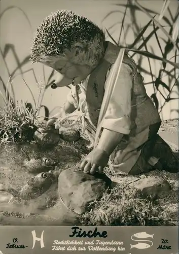 Ansichtskarte  Mecki im Garten mit Tierkreiszeichen "Fische" 1961