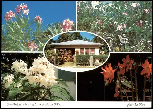 George Town (Cayman Islands) Cayman Islands Mehrbild Haus Blumen 1989