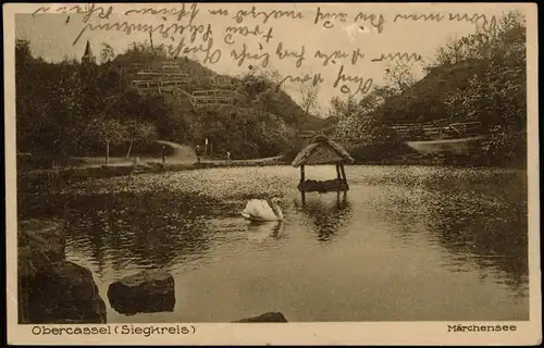 Ansichtskarte Oberkassel-Bonn Märchensee, Schwan 1927