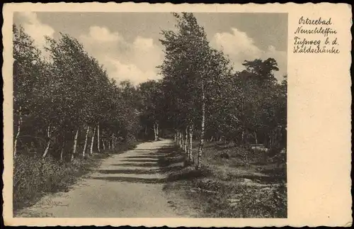 Postcard Neu - Schleffin Śliwin Waldweg - Fußweg, Pommern 1938