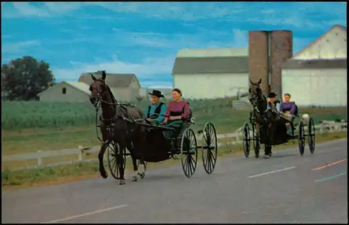 .USA United States of America Two AMISH Courting Buggies  USA Amerika 1970