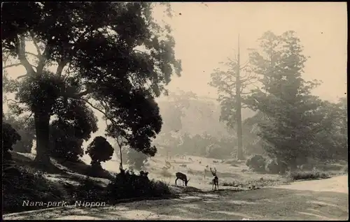 Postcard Japan Nara-park Nippon Japan 日本 1910
