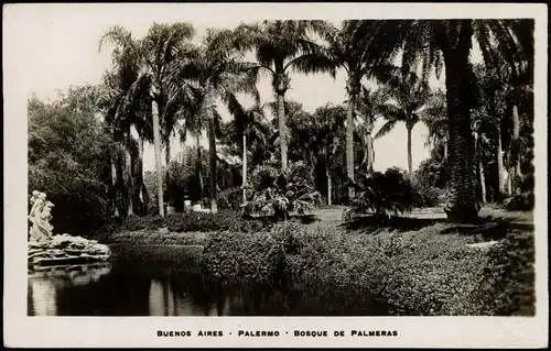 Postcard Buenos Aires PALERMO BOSQUE DE PALMERAS, Park Palmen 1926