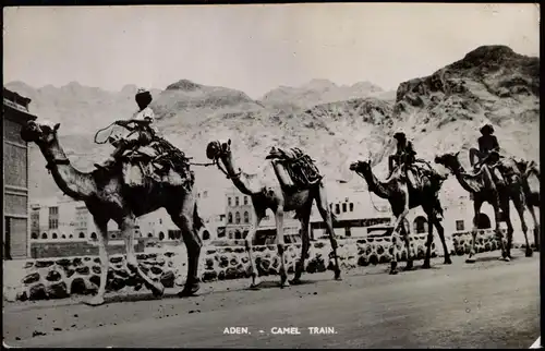 Postcard Aden عدن CAMEL TRAIN Vorbeizug von Kamelen 1957