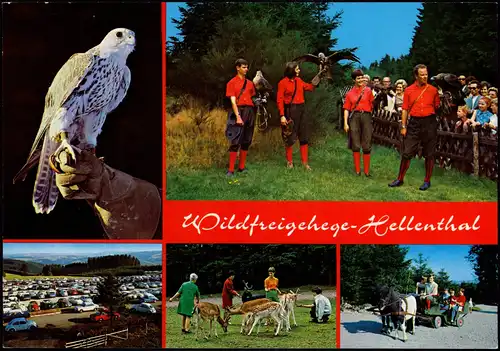 Hellenthal Mehrbildkarte mit Tieren, Wildfreigehege Hellenthal 1980