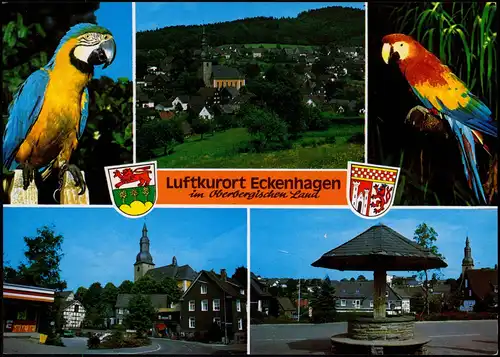 Ansichtskarte Eckenhagen Mehrbildkarte mit Ortsansichten und Papagei 1980
