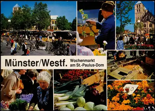 Münster (Westfalen) Wochenmarkt am St.-Paulus-Dom (Mehrbildkarte) 1980