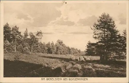 Ansichtskarte Boitzenhagen-Wittingen AM BICKELSTEIN BEI BOITZENHAGEN 1920