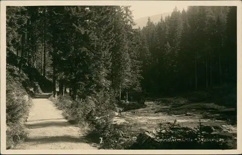 Spindlermühle Špindlerův Mlýn | Spindelmühle Panorama-Ansicht Wald Partie 1940