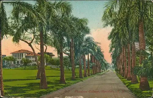 Postcard Honolulu Punahou College, Palmen Allee, Street View 1920