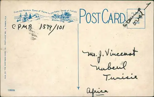 Postcard St. Petersburg(USA) Aerial View (Luftaufnahme Luftbild) 1920