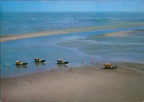 Cuxhaven Nordseeheilbad Luftbild Prieldurchfahrt auf dem Wege 1980