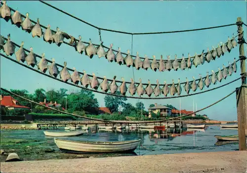 Postcard Frederikshavn Trocknung von Fischen, Tørrede Jyder 1970
