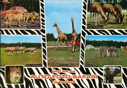 Schloß Holte-Stukenbrock Mehrbild-AK Hollywood- und Safaripark Stukenbrock 1990