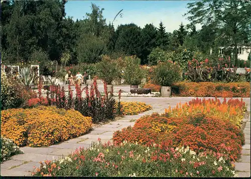 Augsburg Botanischer Schau- und Lehrgarten, Sommerblumenschau 1986