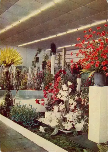 Ansichtskarte Erfurt Internationale Gartenbauausstellung der DDR (IGA) 1970