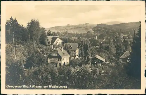 Georgenthal (Thüringen) Panorama-Ansicht Blick auf den Waldsaumweg 1953