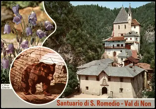 Cartoline Nonstal Val di Non Santuario di S. Romedio, Bär 1996
